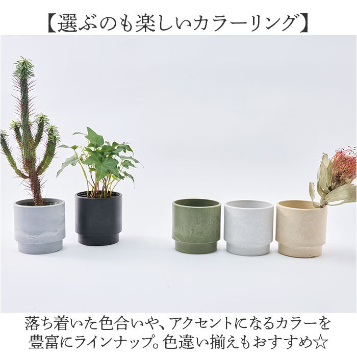 BACKYARD FAMILY「植木鉢 プラスチック 丸型 通販 SK ステップ 15.5xH15 鉢 約 5号 鉢カバー」|その他|