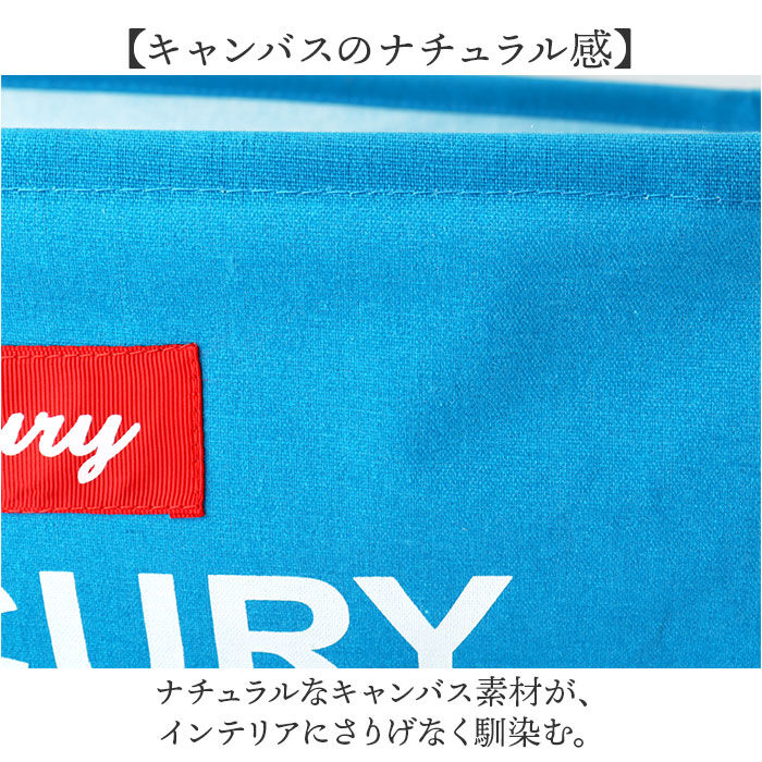 MERCURY「MERCURY マーキュリー レクタングル ボックス Lサイズ 通販 収納ボックス 収納」|その他|