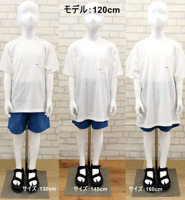 SHIPS KIDS「【累計販売数1万枚突破!!】【WEB限定】SHIPS KIDS:100～160cm /SHIPS マイクロロゴ Tシャツ」|Tシャツ・カットソー|