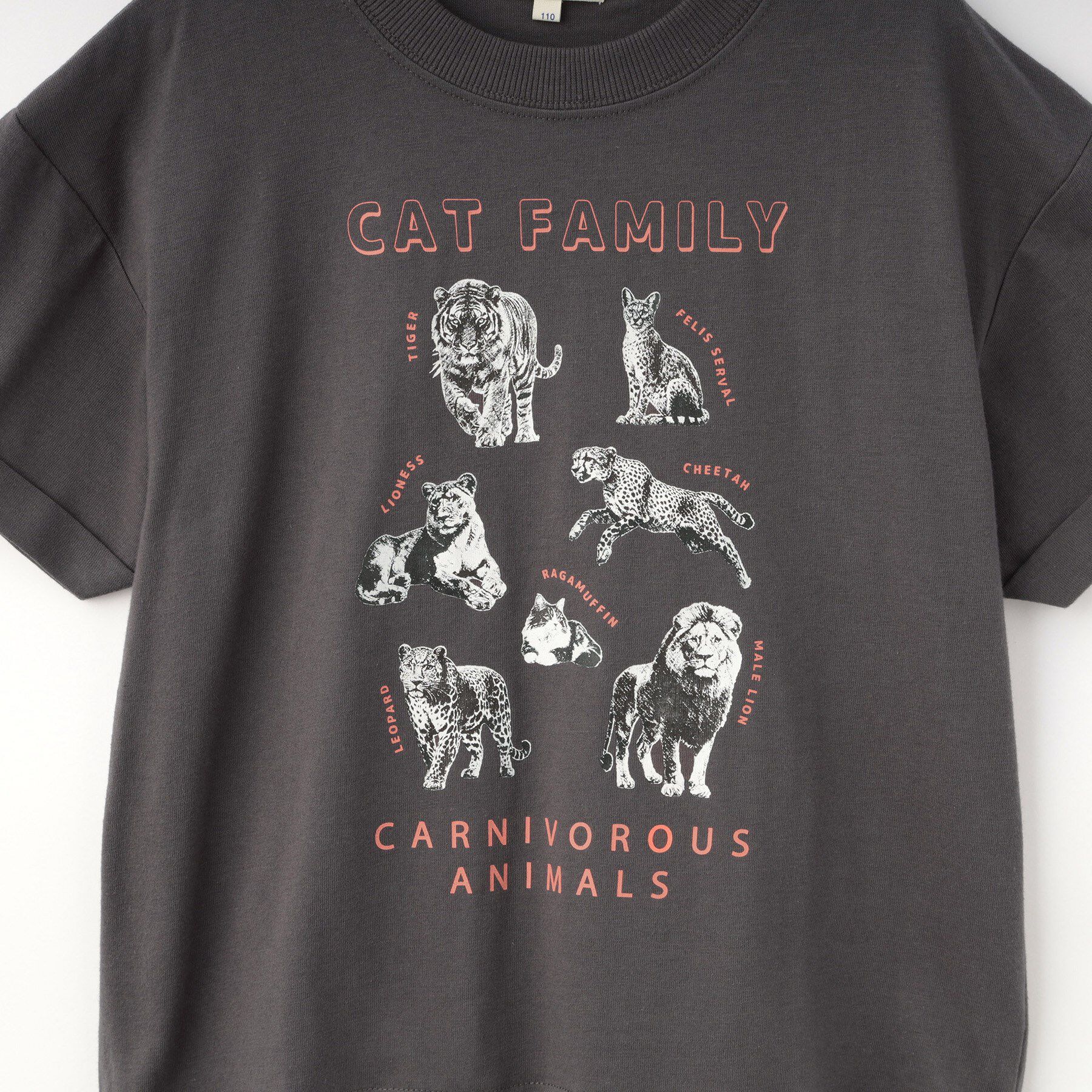 SHOO･LA･RUE「【100-120cm】猛獣恐竜フォト図鑑Tシャツ」|Tシャツ・カットソー|