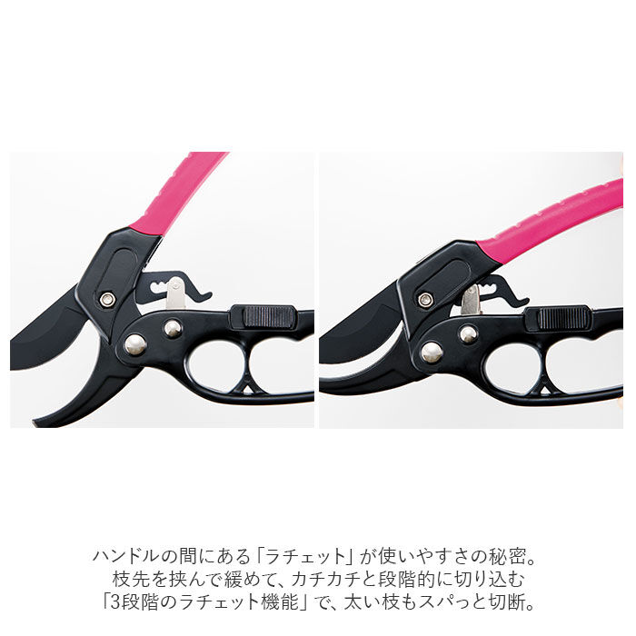 BACKYARD FAMILY「剪定ばさみ ラチェット式 通販 剪定バサミ 剪定 ハサミ はさみ 剪定鋏 剪定はさみ 剪定ハサミ」|その他|