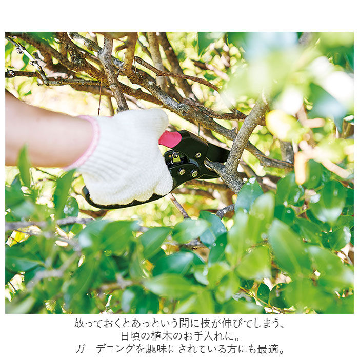 BACKYARD FAMILY「剪定ばさみ ラチェット式 通販 剪定バサミ 剪定 ハサミ はさみ 剪定鋏 剪定はさみ 剪定ハサミ」|その他|