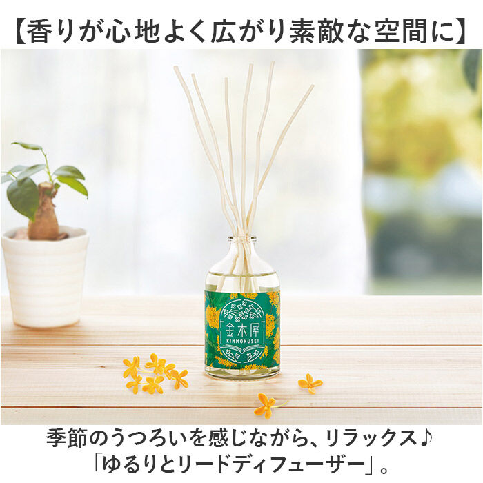 BACKYARD FAMILY「リードディフューザー 通販 ルームフレグランス アロマディフューザー スティック おしゃれ アロマ」|アロマ・ルームフレグランス|