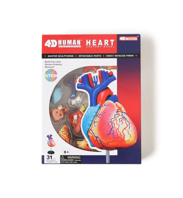bPr BEAMS「4D MASTER / HUMAN ANATOMY」|その他|