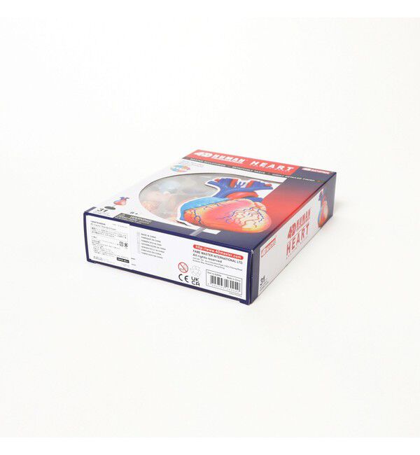 bPr BEAMS「4D MASTER / HUMAN ANATOMY」|その他|