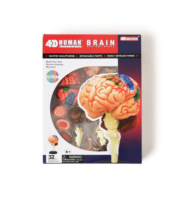 bPr BEAMS「4D MASTER / HUMAN ANATOMY」|その他|