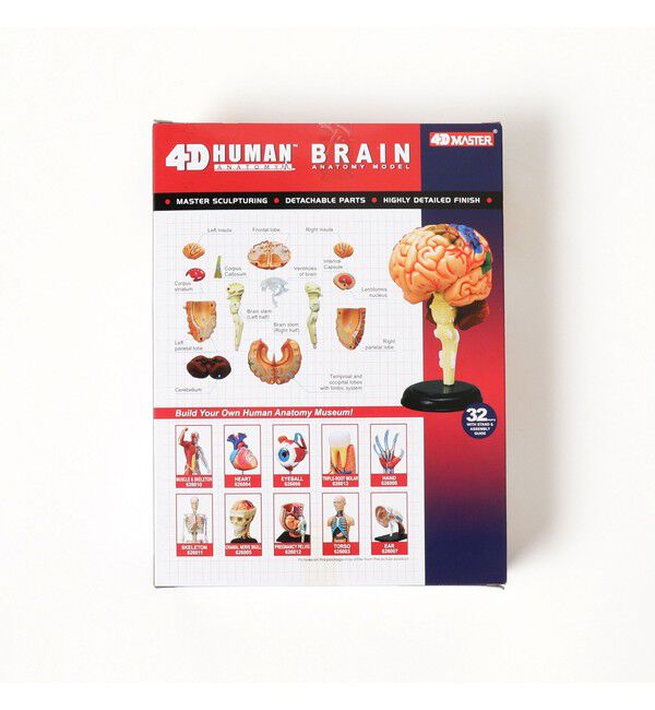 bPr BEAMS「4D MASTER / HUMAN ANATOMY」|その他|