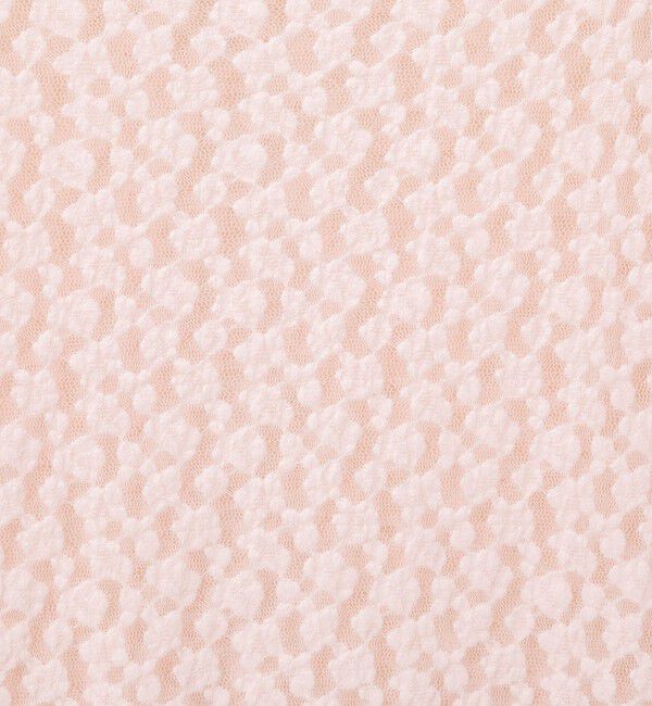 NOLLEY'S sophi「ウォッシャブル起毛ストレッチレースロンT」|Tシャツ・カットソー|