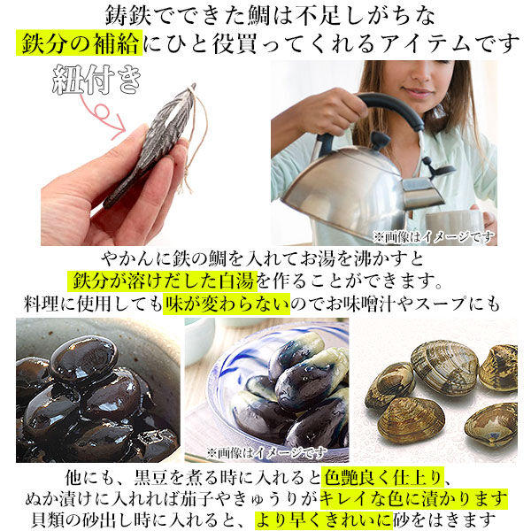 BACKYARD FAMILY「鉄の健康鯛 鉄 健康鯛 鉄分補給 料理 繰り返し 日本製 定番 ひも付き 鋳鉄 鉄分不足 色出し」|食器・キッチングッズ|