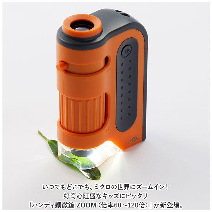 BACKYARD FAMILY「顕微鏡 子供 通販 ハンディ顕微鏡 ZOOM レイメイ藤井 RXT1143 60倍 120倍」|その他|