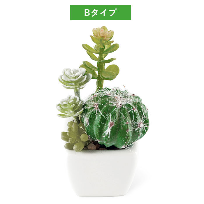 BACKYARD FAMILY「多肉植物 サボテン フェイク 通販 おしゃれ 小さい CT触媒 消臭アーティフィシャルグリーン」|その他|