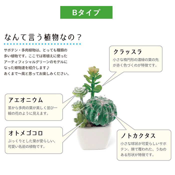 BACKYARD FAMILY「多肉植物 サボテン フェイク 通販 おしゃれ 小さい CT触媒 消臭アーティフィシャルグリーン」|その他|