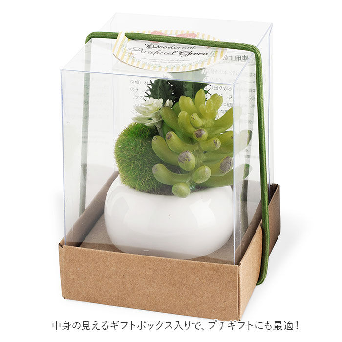 BACKYARD FAMILY「多肉植物 サボテン フェイク 通販 おしゃれ 小さい CT触媒 消臭アーティフィシャルグリーン」|その他|