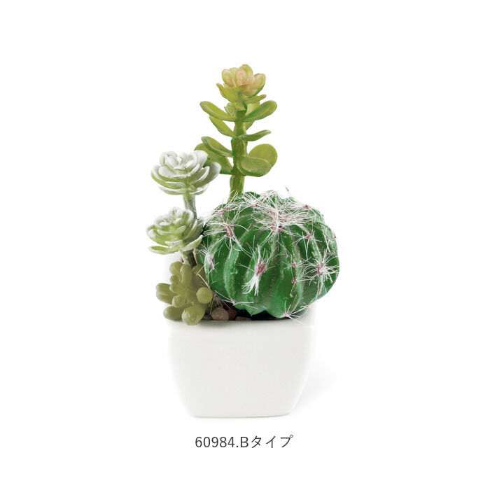 BACKYARD FAMILY「多肉植物 サボテン フェイク 通販 おしゃれ 小さい CT触媒 消臭アーティフィシャルグリーン」|その他|
