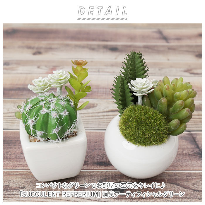 BACKYARD FAMILY「多肉植物 サボテン フェイク 通販 おしゃれ 小さい CT触媒 消臭アーティフィシャルグリーン」|その他|