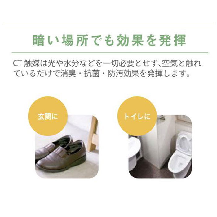 BACKYARD FAMILY「多肉植物 サボテン フェイク 通販 おしゃれ 小さい CT触媒 消臭アーティフィシャルグリーン」|その他|
