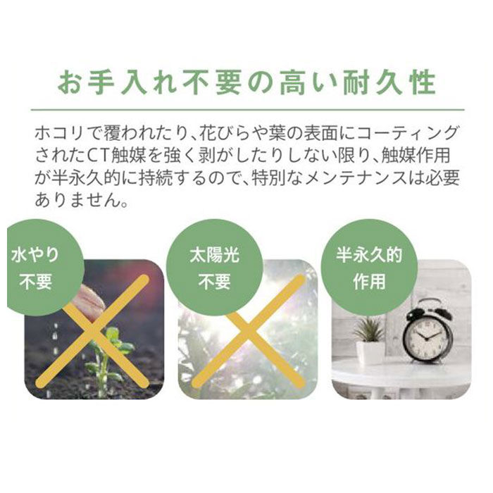BACKYARD FAMILY「多肉植物 サボテン フェイク 通販 おしゃれ 小さい CT触媒 消臭アーティフィシャルグリーン」|その他|