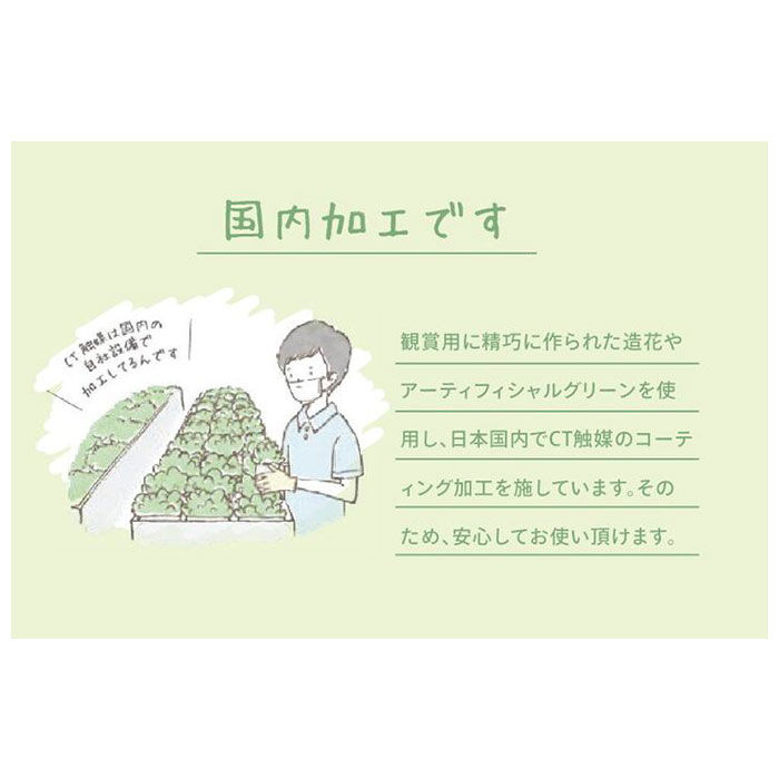 BACKYARD FAMILY「多肉植物 サボテン フェイク 通販 おしゃれ 小さい CT触媒 消臭アーティフィシャルグリーン」|その他|