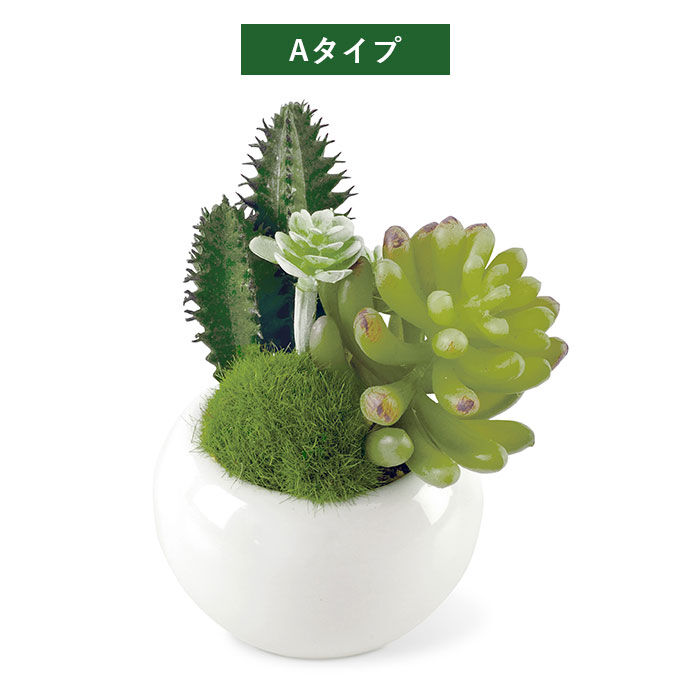 BACKYARD FAMILY「多肉植物 サボテン フェイク 通販 おしゃれ 小さい CT触媒 消臭アーティフィシャルグリーン」|その他|