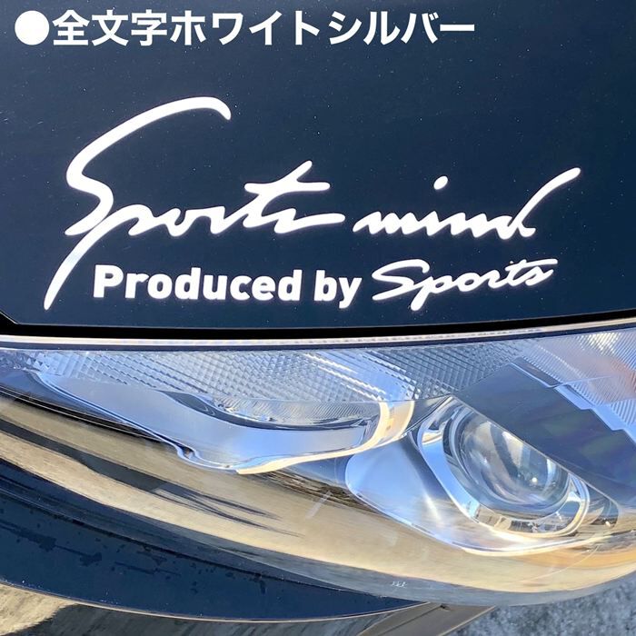 BACKYARD FAMILY「車 ステッカー おしゃれ 通販 Mサイズ 約9.5&times;25cm 車に貼るステッカー」|その他|