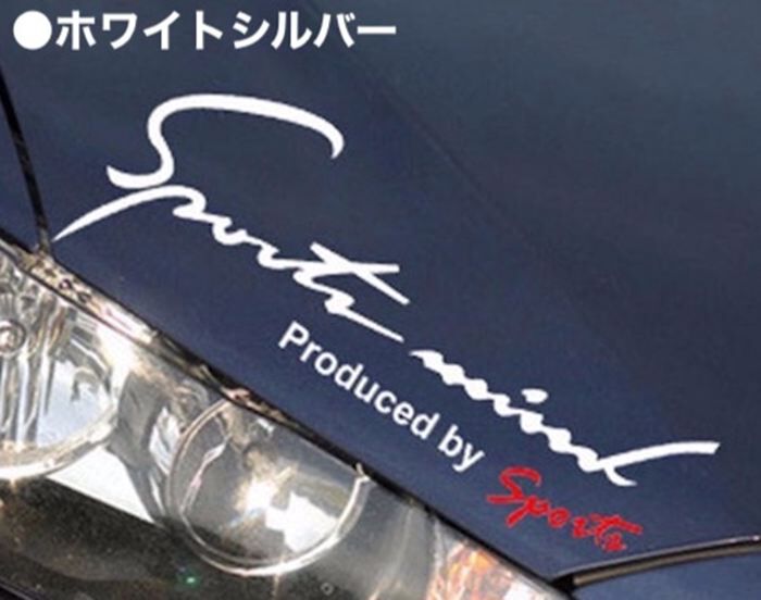 BACKYARD FAMILY「車 ステッカー おしゃれ 通販 Mサイズ 約9.5&times;25cm 車に貼るステッカー」|その他|