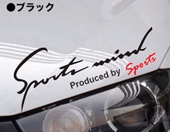 BACKYARD FAMILY「車 ステッカー おしゃれ 通販 Mサイズ 約9.5&times;25cm 車に貼るステッカー」|その他|