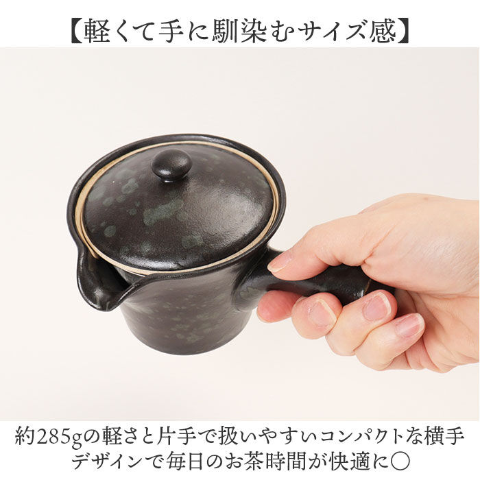 BACKYARD FAMILY「急須 レトロ 通販 日本製 国産 きゅうす ティーポット 茶器 ポット 細かい網 超極細 極細」|食器・キッチングッズ|