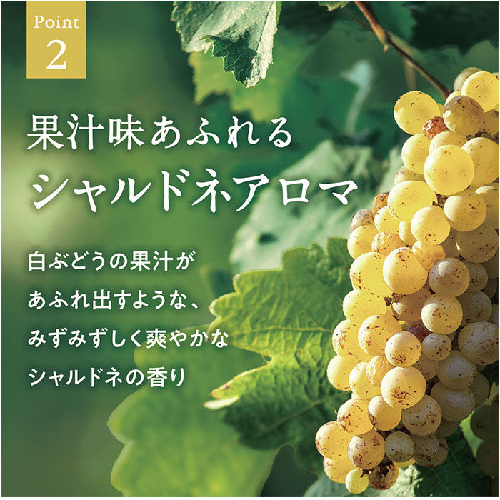 BACKYARD FAMILY「グローバルプロダクトプランニング マルチオイル 通販 日本製 ボディオイル ヘアオイル」|マッサージ・ボディスクラブ|