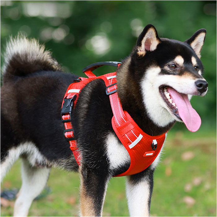 BACKYARD FAMILY「犬ハーネス 通販 ハーネス ウェアハーネス ドッグハーネス 犬 犬用 胴輪 抜けない 抜けにくい」|その他|