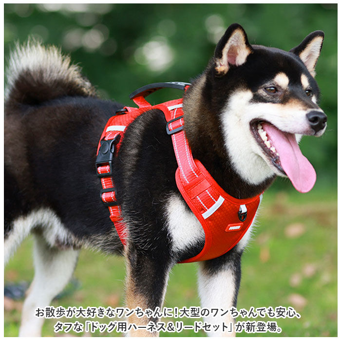 BACKYARD FAMILY「犬ハーネス 通販 ハーネス ウェアハーネス ドッグハーネス 犬 犬用 胴輪 抜けない 抜けにくい」|その他|