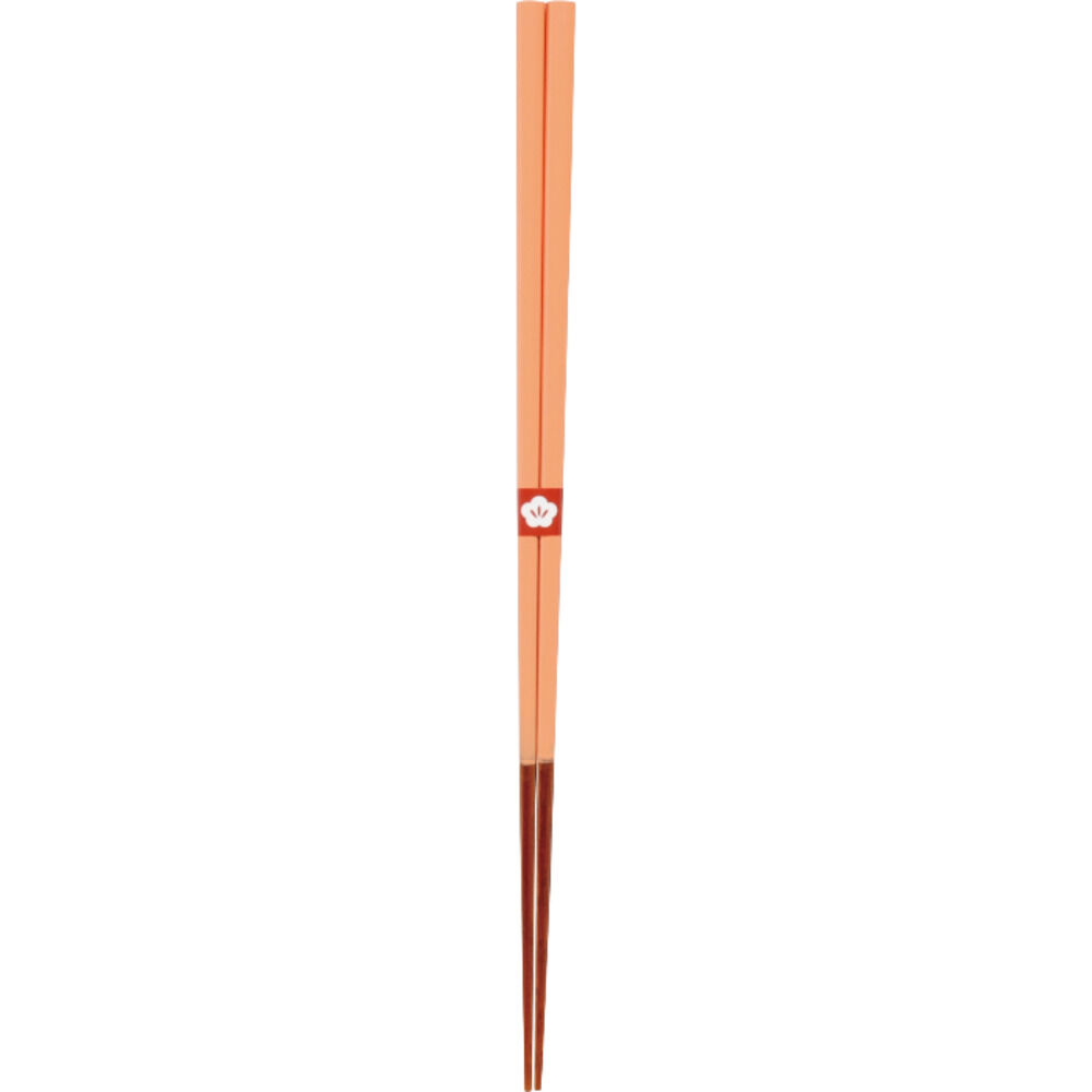 BACKYARD FAMILY「お箸 おしゃれ 通販 日本製 箸 竹 竹箸 23cm おはし 天然竹 細い 四角 にっぽん伝統色箸」|食器・キッチングッズ|オレンジ2