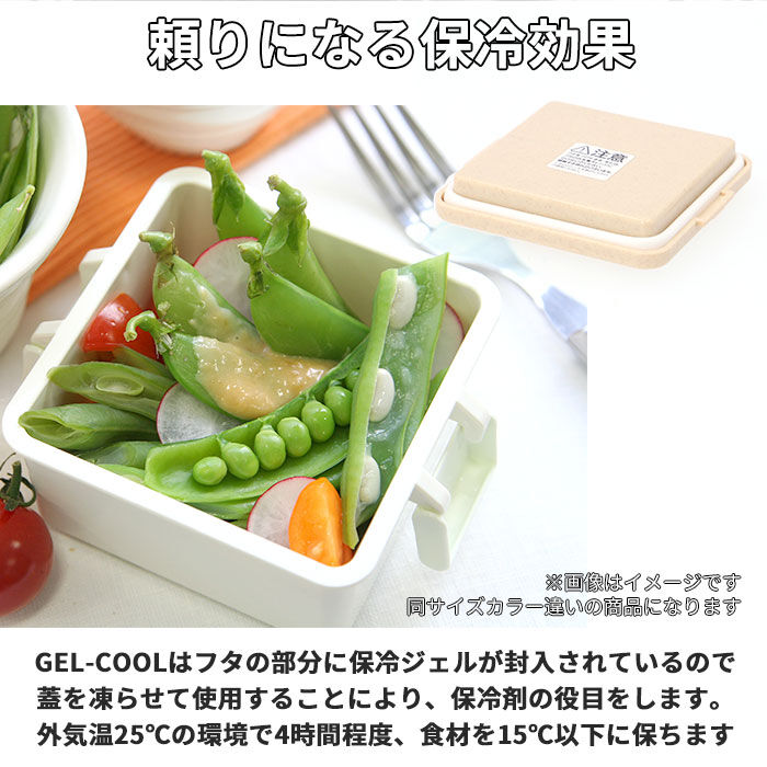 BACKYARD FAMILY「1段 弁当箱 220ml 保冷 通販 お弁当箱 ランチボックス 一段 １段 GEL-COOL」|食器・キッチングッズ|