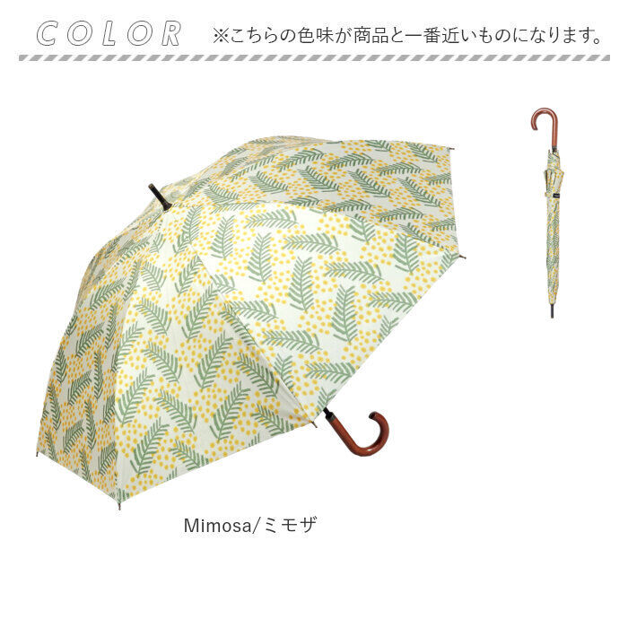 BACKYARD FAMILY「傘 レディース 晴雨兼用 通販 長傘 晴雨兼用傘 ブランド kippis 55cm 日傘」|傘|