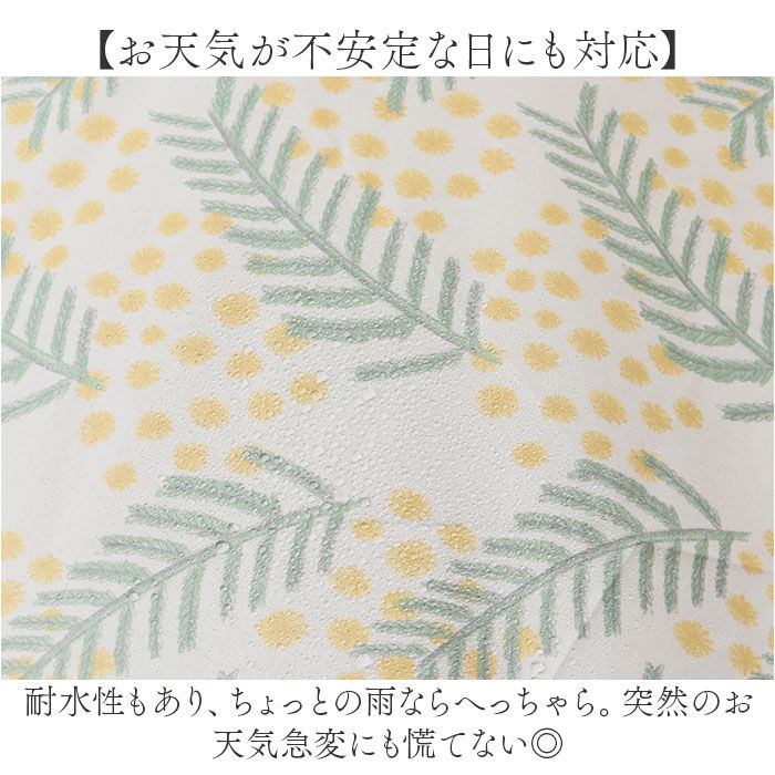 BACKYARD FAMILY「傘 レディース 晴雨兼用 通販 長傘 晴雨兼用傘 ブランド kippis 55cm 日傘」|傘|