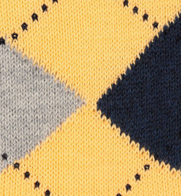 TOMORROWLAND GOODS「【別注】BRESCIANI コットン アーガイルソックス」|ソックス|