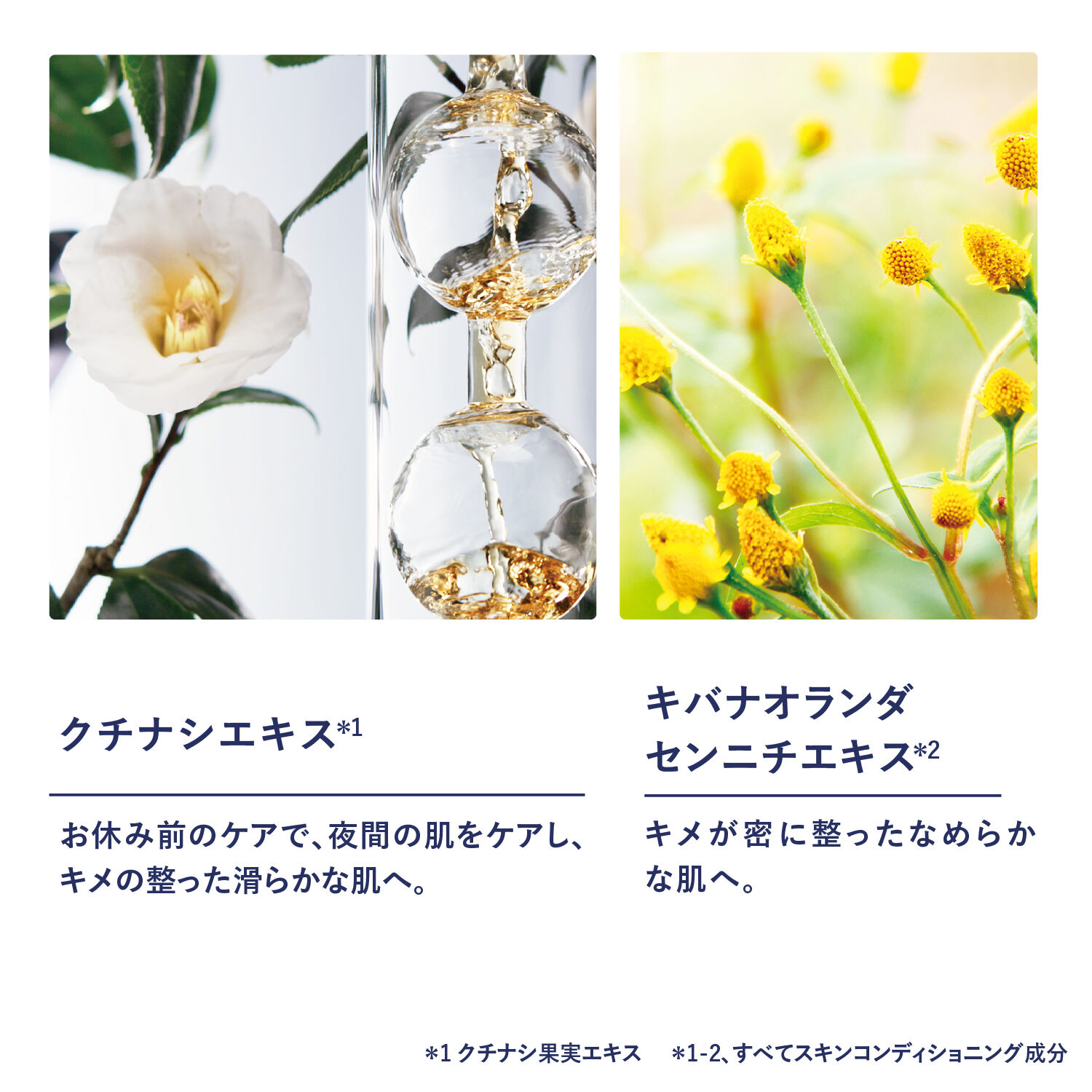 L&rsquo;OCCITANE「イモーテル オーバーナイトリセットセラム50mL」|美容液・オイル・クリーム|