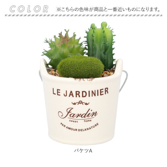 BACKYARD FAMILY「光触媒 観葉植物 卓上 通販 バケツ フェイクグリーン ミニ おしゃれ 造花 ギフト プチギフト」|その他|