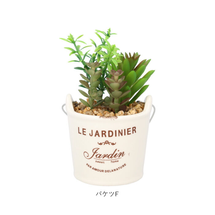 BACKYARD FAMILY「光触媒 観葉植物 卓上 通販 バケツ フェイクグリーン ミニ おしゃれ 造花 ギフト プチギフト」|その他|