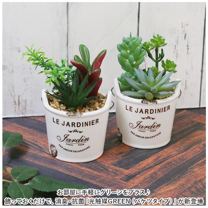 BACKYARD FAMILY「光触媒 観葉植物 卓上 通販 バケツ フェイクグリーン ミニ おしゃれ 造花 ギフト プチギフト」|その他|