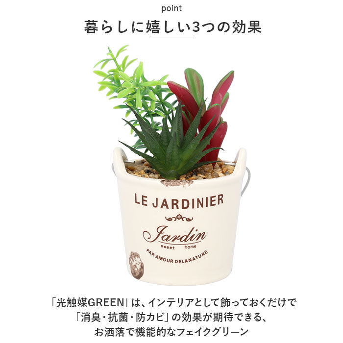BACKYARD FAMILY「光触媒 観葉植物 卓上 通販 バケツ フェイクグリーン ミニ おしゃれ 造花 ギフト プチギフト」|その他|