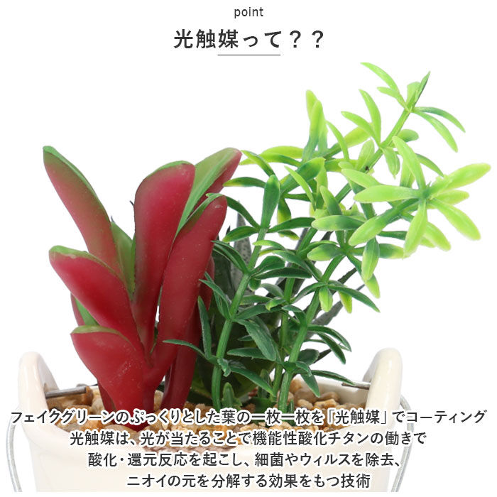 BACKYARD FAMILY「光触媒 観葉植物 卓上 通販 バケツ フェイクグリーン ミニ おしゃれ 造花 ギフト プチギフト」|その他|