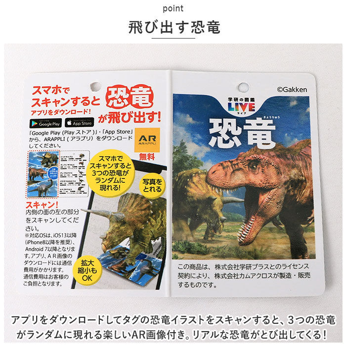 BACKYARD FAMILY「傘 子供用 通販 50cm 雨傘 長傘 カサ かさ ジャンプ傘 ワンタッチ傘 キッズ 子ども」|傘|