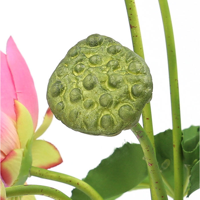 BACKYARD FAMILY「蓮 花 造花 楽天 アーティフィシャルグリーン はすの花 アーティフィシャルフラワー 蓮の花」|その他|