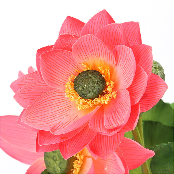BACKYARD FAMILY「蓮 花 造花 楽天 アーティフィシャルグリーン はすの花 アーティフィシャルフラワー 蓮の花」|その他|