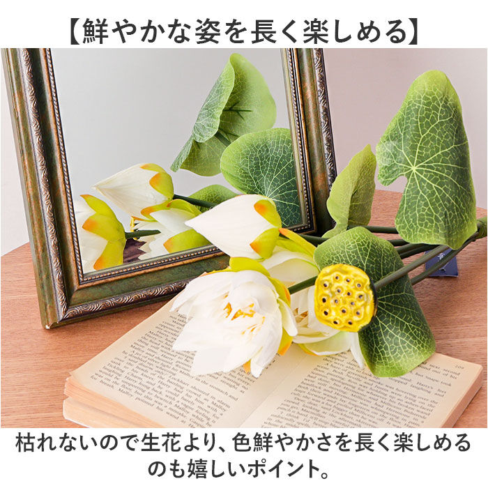 BACKYARD FAMILY「蓮 花 造花 通販 蓮の花 はすの花 アーティフィシャルフラワー アーティフィシャルグリーン」|その他|