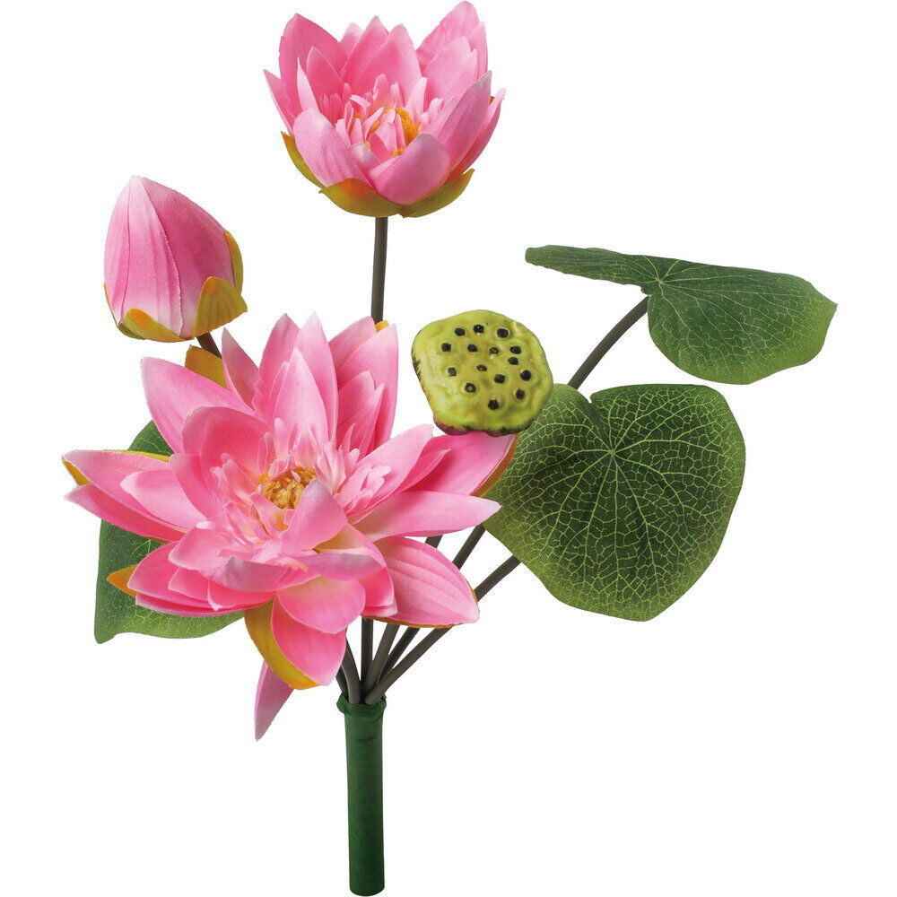 BACKYARD FAMILY「蓮 花 造花 通販 蓮の花 はすの花 アーティフィシャルフラワー アーティフィシャルグリーン」|その他|その他3