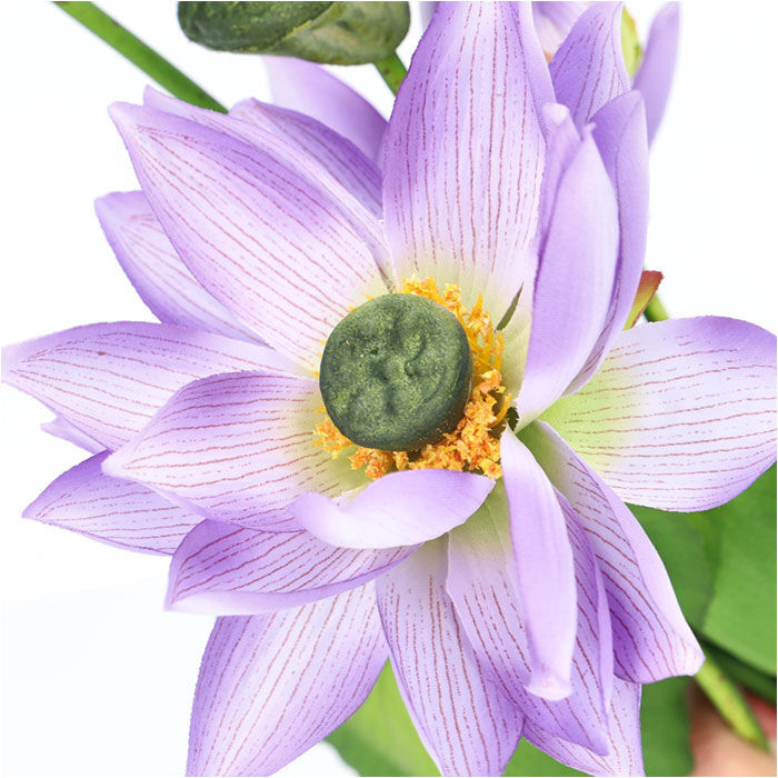 BACKYARD FAMILY「蓮 花 造花 通販 蓮の花 はすの花 アーティフィシャルフラワー アーティフィシャルグリーン」|その他|