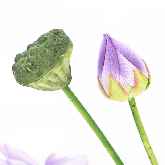BACKYARD FAMILY「蓮 花 造花 通販 蓮の花 はすの花 アーティフィシャルフラワー アーティフィシャルグリーン」|その他|