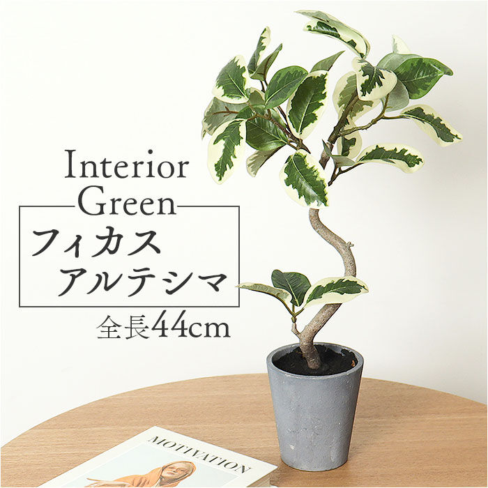 BACKYARD FAMILY「観葉植物 フェイク 大型 通販 フェイクグリーン フィカスアルテシマ アーティフィシャルグリーン」|その他|