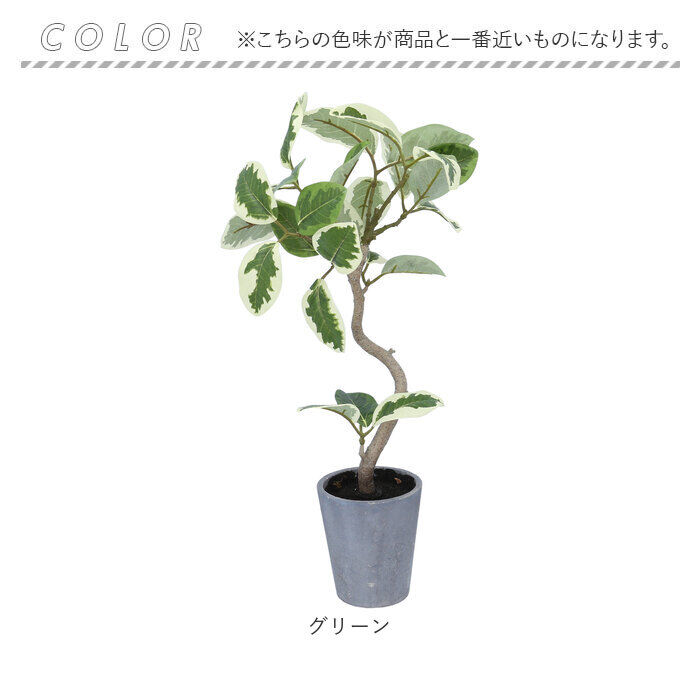 BACKYARD FAMILY「観葉植物 フェイク 大型 通販 フェイクグリーン フィカスアルテシマ アーティフィシャルグリーン」|その他|
